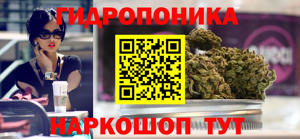 Канабис конопля Сызрань